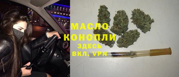гидра Верея