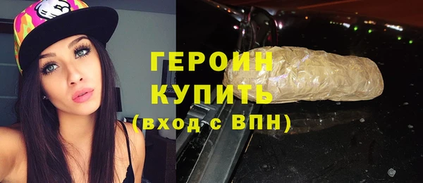индика Бородино