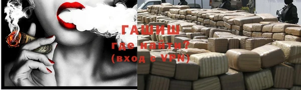 индика Бородино