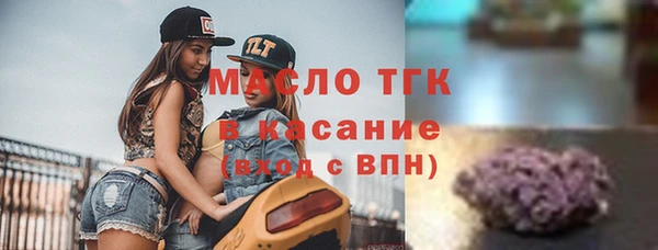 гидра Верея