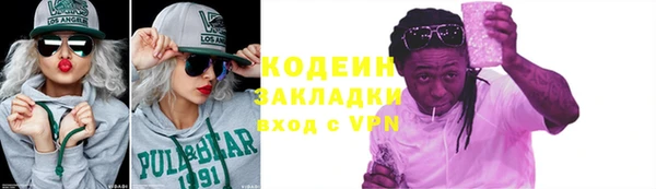 индика Бородино