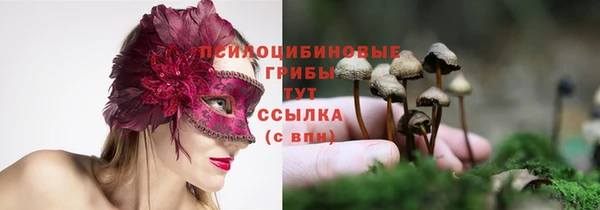 шишки Верхнеуральск