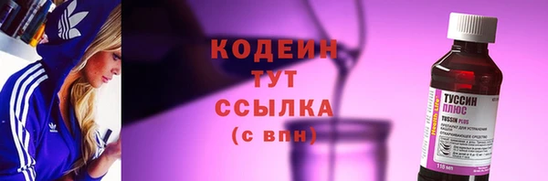 индика Бородино