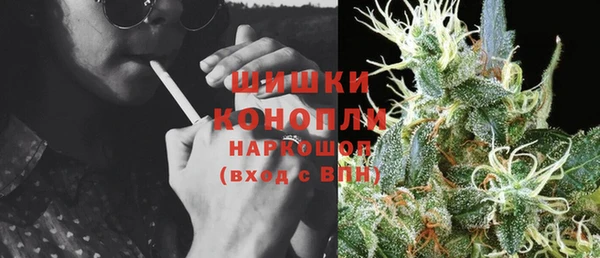 гидра Верея