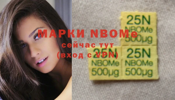 индика Бородино