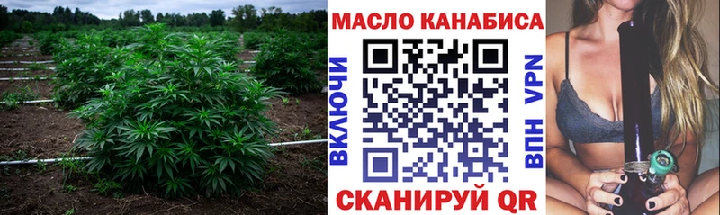 ТГК концентрат  Купить где  Мензелинск 