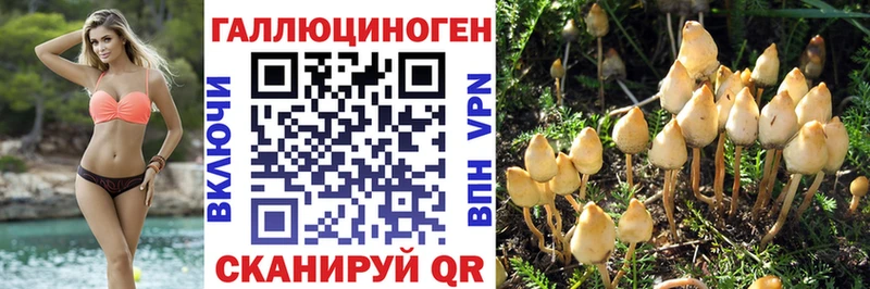Галлюциногенные грибы прущие грибы  Купить закладки  Мензелинск 